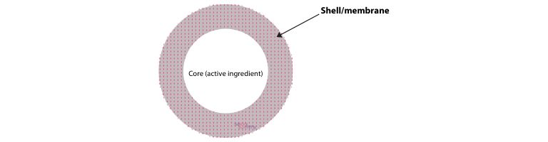 microencapsulation: diagram of a microcapsule